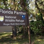 Deerfield Beach Florida Panther National Wildlife Refuge