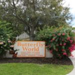 Coconut Creek Butterfly World