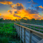 Wakodahatchee Wetlands Sunrise Delray Beach